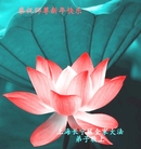 ���ֹ�,�Ϻ��󷨵��ӹ�ףʦ�������(24��)