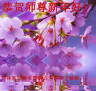 ���ֹ�,����ʡ�󷨵��ӹ�ףʦ�������(26��)