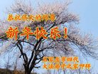 Published on 1/25/2017 ���ֹ�,��½�󷨵��ӹ�ףʦ�������(40��)