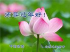 Published on 1/28/2017 ���ֹ�,��½�󷨵��ӹ�ףʦ�������(29��)