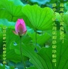 ���ֹ�,��ɳ�󷨵��ӹ�ףʦ�������(24��)