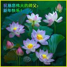 ���ֹ�,����ʡ�󷨵��ӹ�ףʦ�������(25��)