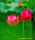 ���ֹ�,�ػʵ��󷨵��ӹ�ףʦ�������(23��)