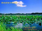 ���ֹ�,�ӱ��󷨵��ӹ�ףʦ�������(23��)