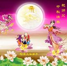 ���ֹ�,�żҿڴ󷨵��ӹ�ףʦ�������(20��)