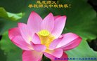 Published on 10/4/2017 ���ֹ�,��½�󷨵��ӹ�ףʦ�������(28��)