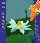 ���ֹ�,���մ󷨵��ӹ�ףʦ�������(21��)