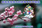 Published on 10/4/2017 ���ֹ�,��½�󷨵��ӹ�ףʦ�������(37��)