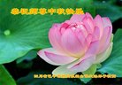 Published on 10/4/2017 ���ֹ�,��½�󷨵��ӹ�ףʦ�������(28��)