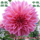 ���ֹ�,����󷨵��ӹ�ףʦ�������(22��)