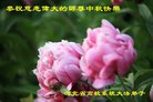Published on 10/4/2017 ���ֹ�,��½��ԺУ���������������ȱ���ʦ���¾�