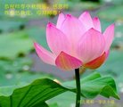 Published on 10/4/2017 ���ֹ�,��½�󷨵��ӹ�ףʦ�������(35��)