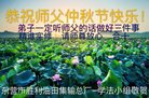 Published on 10/4/2017 ���ֹ�,��½�󷨵��ӹ�ףʦ�������(30��)