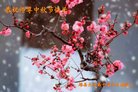 Published on 10/4/2017 ���ֹ�,��½�󷨵��ӹ�ףʦ�������(36��)