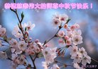 Published on 10/4/2017 ���ֹ�,��½�󷨵��ӹ�ףʦ�������(38��)