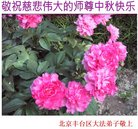 Published on 10/4/2017 ���ֹ�,��½�󷨵��ӹ�ףʦ�������(36��)