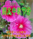 Published on 10/4/2017 ���ֹ�,�󷨵���Я�����Ա��ף��ʦ����ںã�