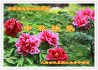 Published on 10/4/2017 ���ֹ�,��½��������˾�����������Ŵ󷨵��ӹ�ףʦ�������