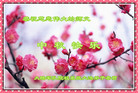 Published on 10/4/2017 ���ֹ�,��½��������˾�����������Ŵ󷨵��ӹ�ףʦ�������