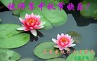 Published on 10/4/2017 ���ֹ�,��½�󷨵��ӹ�ףʦ�������(33��)