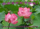 Published on 10/4/2017 ���ֹ�,��½�󷨵��ӹ�ףʦ�������(26��)