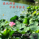 ���ֹ�,���ɹŴ󷨵��ӹ�ףʦ�������(26��)