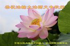 Published on 10/4/2017 ���ֹ�,��½�󷨵��ӹ�ףʦ�������(27��)