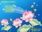 Published on 10/4/2017 ���ֹ�,����ϵͳ�󷨵��ӹ�ףʦ�������(24��)
