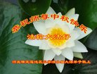 ���ֹ�,�����󷨵��ӹ�ףʦ�������(24��)