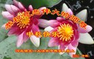 ���ֹ�,�����󷨵��ӹ�ףʦ�������(24��)