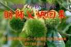 Published on 10/4/2017 ���ֹ�,��½�󷨵��ӹ�ףʦ�������(26��)
