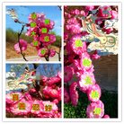 ���ֹ�,��Ϫ�󷨵��ӹ�ףʦ�������(21��)