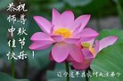 Published on 10/4/2017 ���ֹ�,���󷨵��ӹ�ףʦ�������(24��)