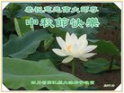 Published on 10/4/2017 ���ֹ�,��½�󷨵��ӹ�ףʦ�������(34��)