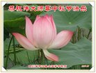 Published on 10/4/2017 ���ֹ�,��½�󷨵��ӹ�ףʦ�������(34��)