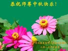 Published on 10/4/2017 ���ֹ�,��½�󷨵��ӹ�ףʦ�������(17��)