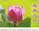 Published on 10/4/2017 ���ֹ�,��½�󷨵��ӹ�ףʦ�������(28��)