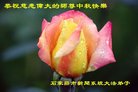 Published on 10/4/2017 ���ֹ�,��½����ҵ�󷨵�������лʦ��