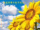 Published on 10/4/2017 ���ֹ�,��½����ҵ�󷨵�������лʦ��