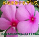 Published on 10/4/2017 ���ֹ�,��½�󷨵��ӹ�ףʦ�������(187��)
