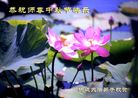 Published on 10/4/2017 ���ֹ�,��½�󷨵��ӹ�ףʦ�������(76��)