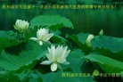 Published on 10/4/2017 ���ֹ�,��½����ҵ�󷨵�������лʦ��