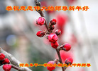 Published on 1/1/2018 ���ֹ�,��½�󷨵��ӹ�ףʦ�������(28��)