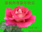 Published on 1/1/2018 ���ֹ�,��½�󷨵��ӹ�ףʦ�������(33��)