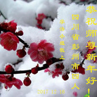 ���ֹ�,�ɶ��󷨵��ӹ�ףʦ�������(22��)