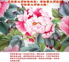 Published on 12/31/2017 ���ֹ�,���������˹�ףʦ�������(20��)