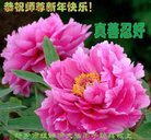 ���ֹ�,���ϴ󷨵��ӹ�ףʦ�������(21��)