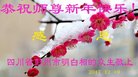 Published on 12/31/2017 ���ֹ�,���������˹�ףʦ�������(20��)