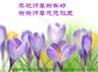 Published on 1/1/2018 ���ֹ�,��½�󷨵��ӹ�ףʦ�������(28��)
