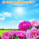 Published on 1/1/2018 ���ֹ�,��½�󷨵��ӹ�ףʦ�������(29��)